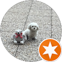 Jesus E. Galache Riesco profile picture